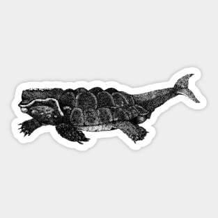 Whale-Tortoise Hybrid Sticker